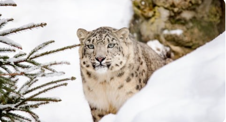 Build an AI-Powered PDF Chatbot: React, Azure & OpenAI